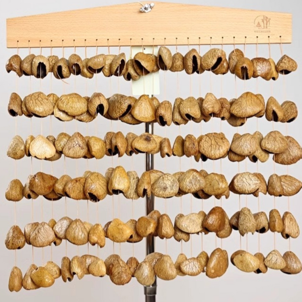 Panji Hanging Seed Chime