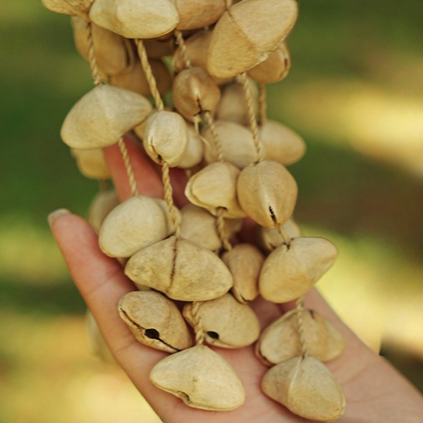 Handmade Chacha Seed Rattle Bell