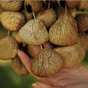 Handmade Panji Seed Rattle Bell