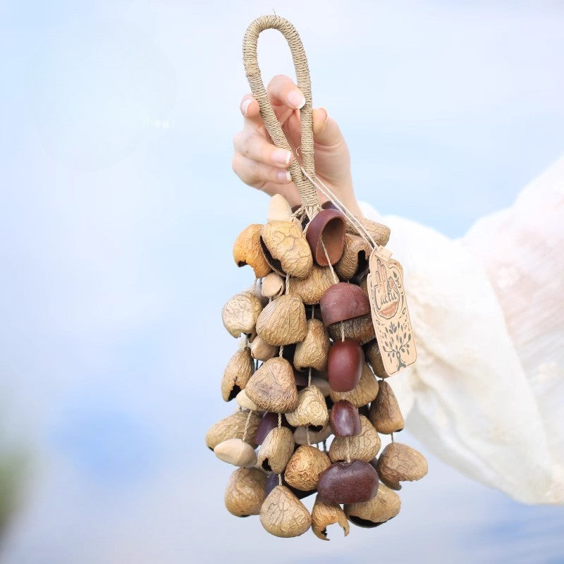 Handmade mixed seed shell fruit rattle bell - 3 mixed