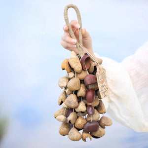 Handmade mixed seed shell fruit rattle bell - 3 mixed